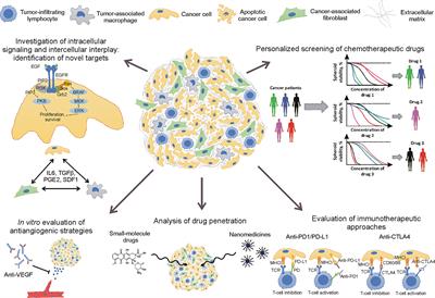 Biomedical Applications of Non-Small Cell Lung Cancer Spheroids